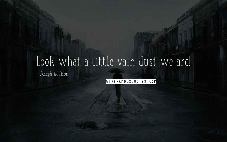 Joseph Addison Quotes: Look what a little vain dust we are!