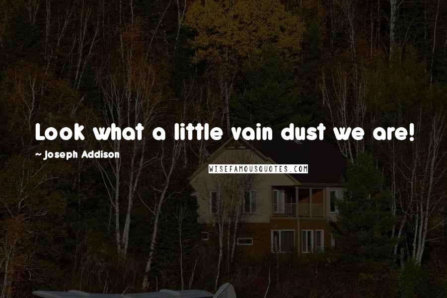 Joseph Addison Quotes: Look what a little vain dust we are!