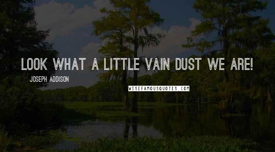Joseph Addison Quotes: Look what a little vain dust we are!