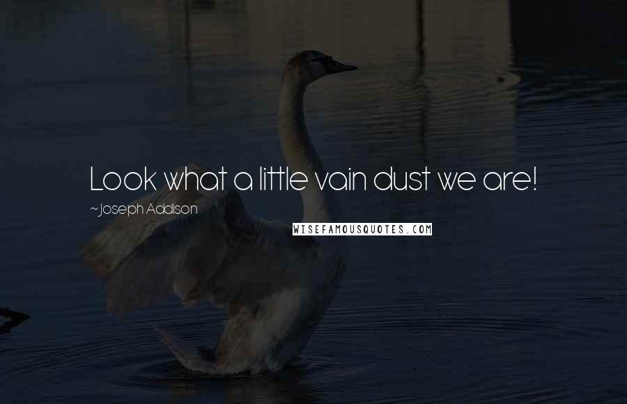 Joseph Addison Quotes: Look what a little vain dust we are!