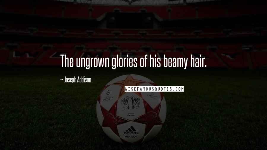 Joseph Addison Quotes: The ungrown glories of his beamy hair.