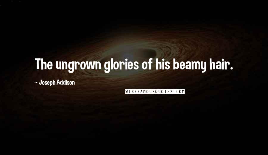 Joseph Addison Quotes: The ungrown glories of his beamy hair.