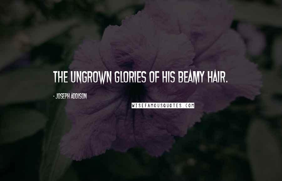 Joseph Addison Quotes: The ungrown glories of his beamy hair.