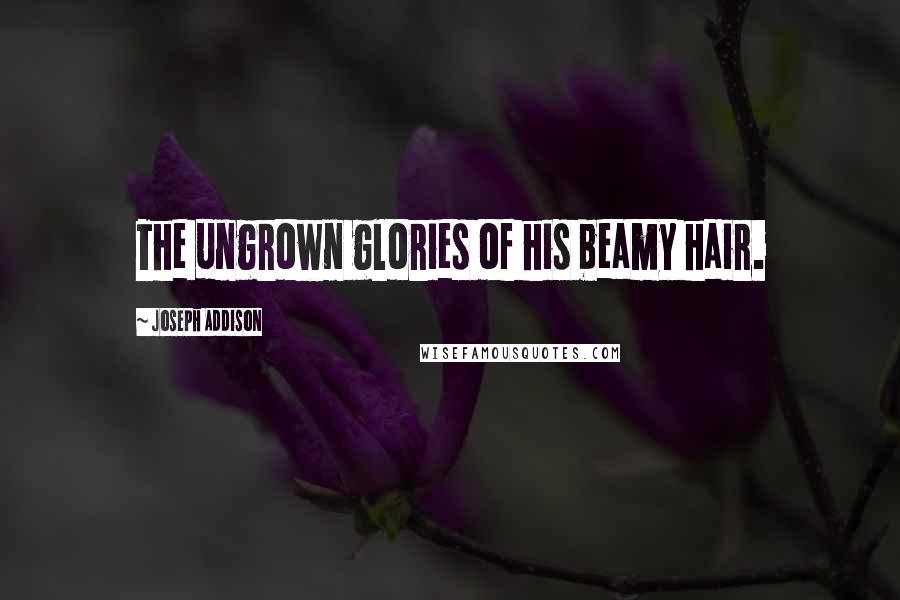 Joseph Addison Quotes: The ungrown glories of his beamy hair.