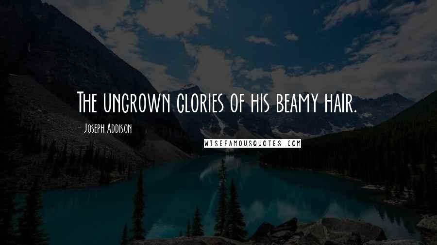 Joseph Addison Quotes: The ungrown glories of his beamy hair.