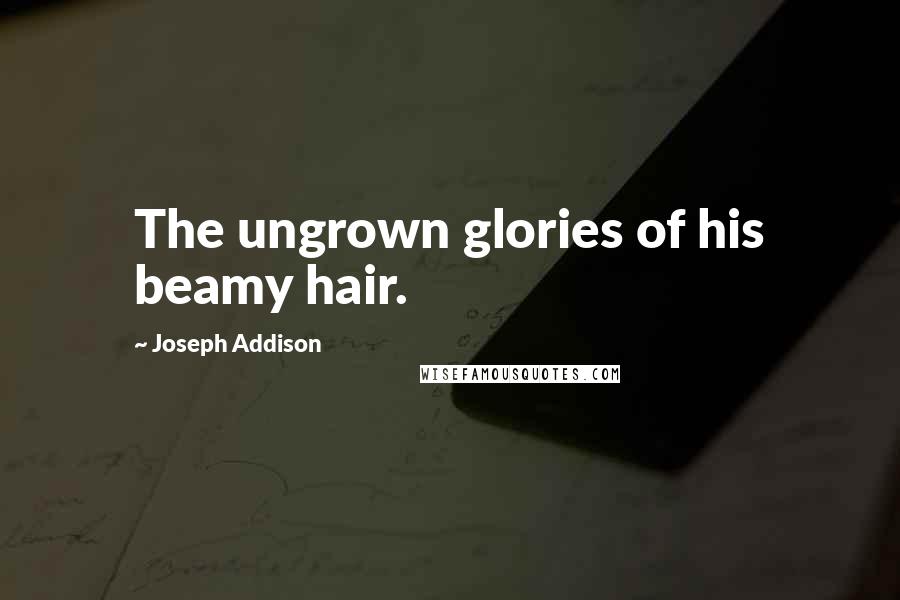 Joseph Addison Quotes: The ungrown glories of his beamy hair.