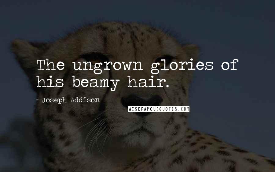 Joseph Addison Quotes: The ungrown glories of his beamy hair.