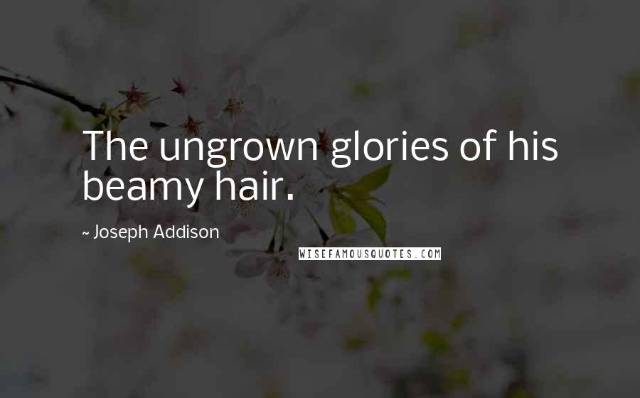 Joseph Addison Quotes: The ungrown glories of his beamy hair.