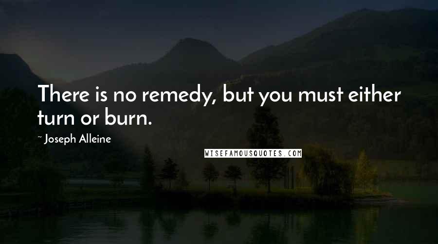 Joseph Alleine Quotes: There is no remedy, but you must either turn or burn.