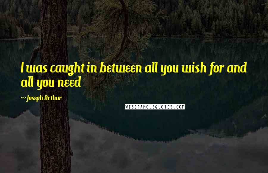 Joseph Arthur Quotes: I was caught in between all you wish for and all you need