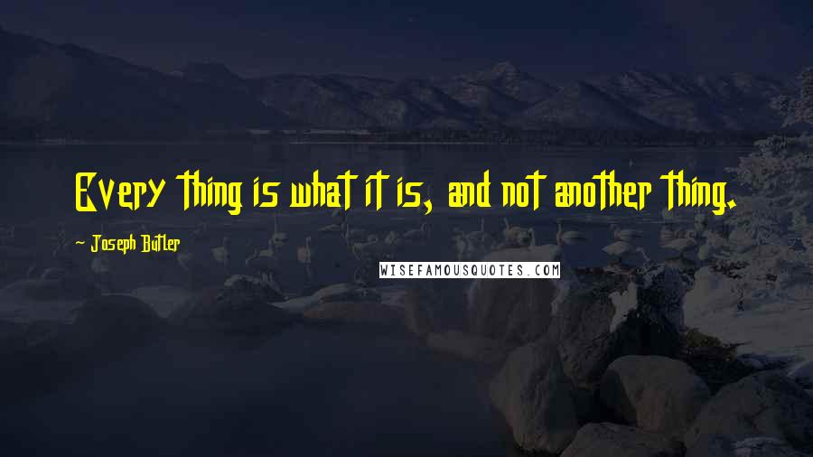 Joseph Butler Quotes: Every thing is what it is, and not another thing.