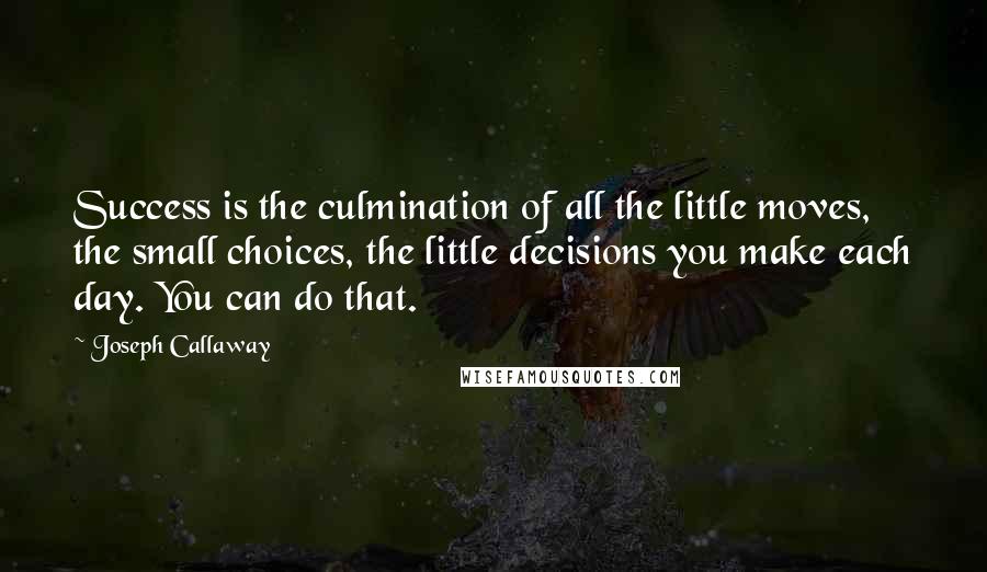 Joseph Callaway Quotes: Success is the culmination of all the little moves, the small choices, the little decisions you make each day. You can do that.