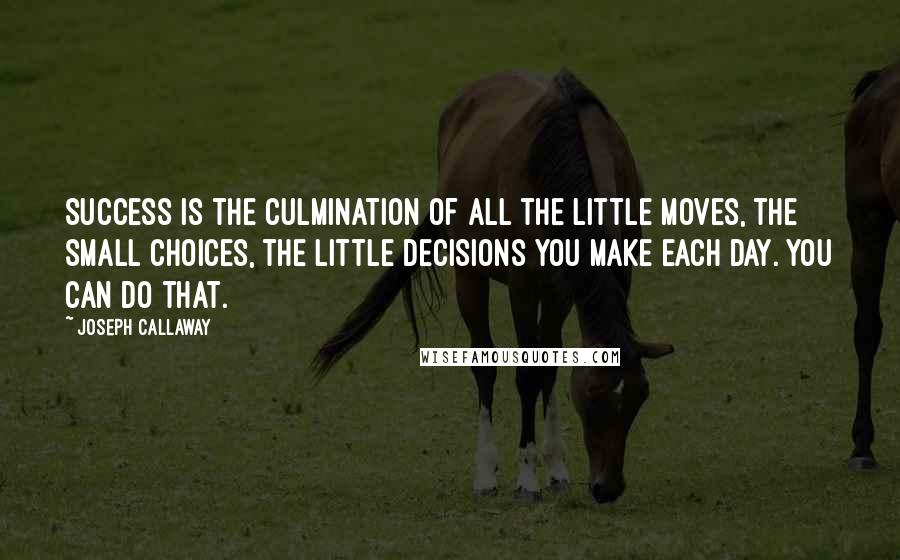 Joseph Callaway Quotes: Success is the culmination of all the little moves, the small choices, the little decisions you make each day. You can do that.