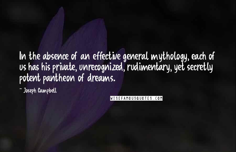 Joseph Campbell Quotes: In the absence of an effective general mythology, each of us has his private, unrecognized, rudimentary, yet secretly potent pantheon of dreams.