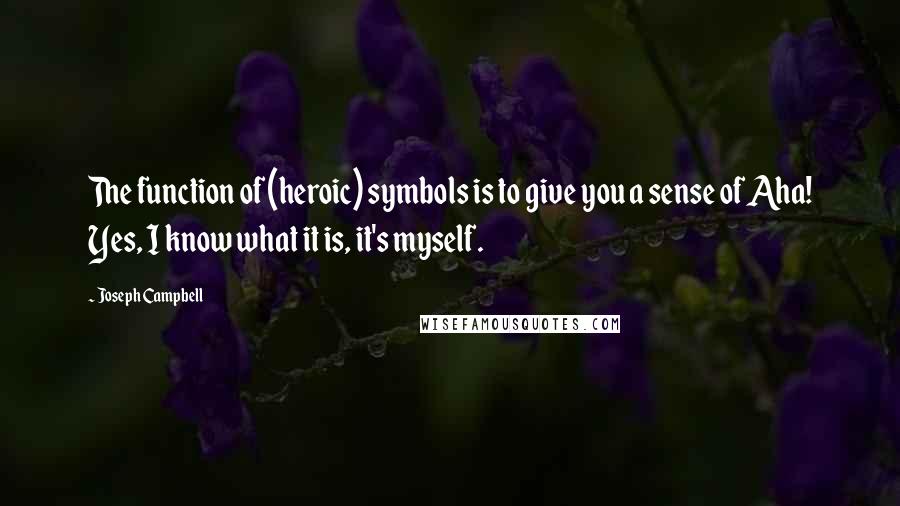 Joseph Campbell Quotes: The function of (heroic) symbols is to give you a sense of Aha! Yes, I know what it is, it's myself.