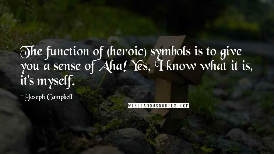 Joseph Campbell Quotes: The function of (heroic) symbols is to give you a sense of Aha! Yes, I know what it is, it's myself.