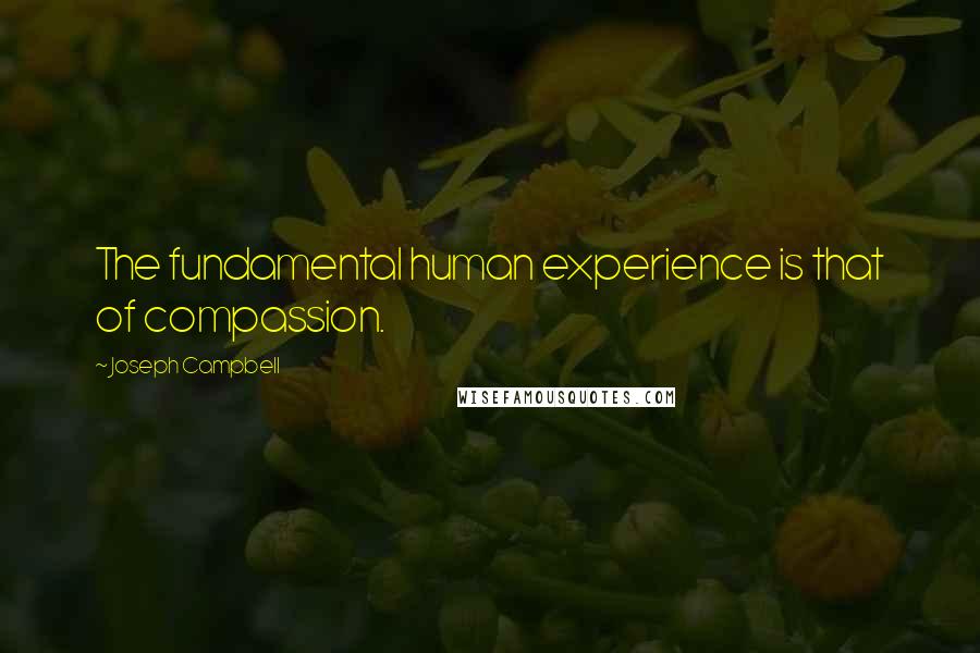Joseph Campbell Quotes: The fundamental human experience is that of compassion.