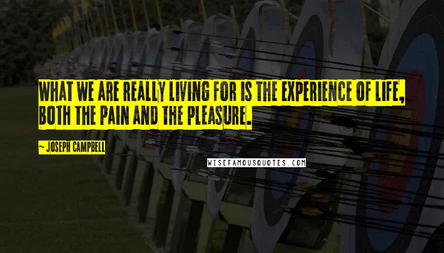 Joseph Campbell Quotes: What we are really living for is the experience of life, both the pain and the pleasure.