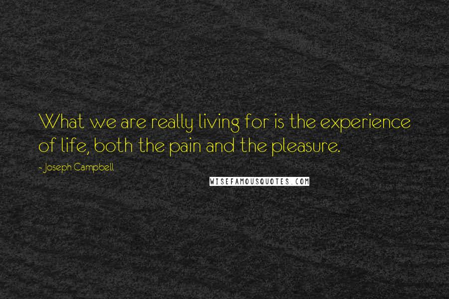 Joseph Campbell Quotes: What we are really living for is the experience of life, both the pain and the pleasure.