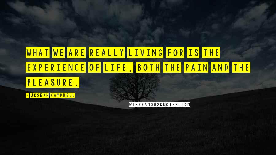 Joseph Campbell Quotes: What we are really living for is the experience of life, both the pain and the pleasure.
