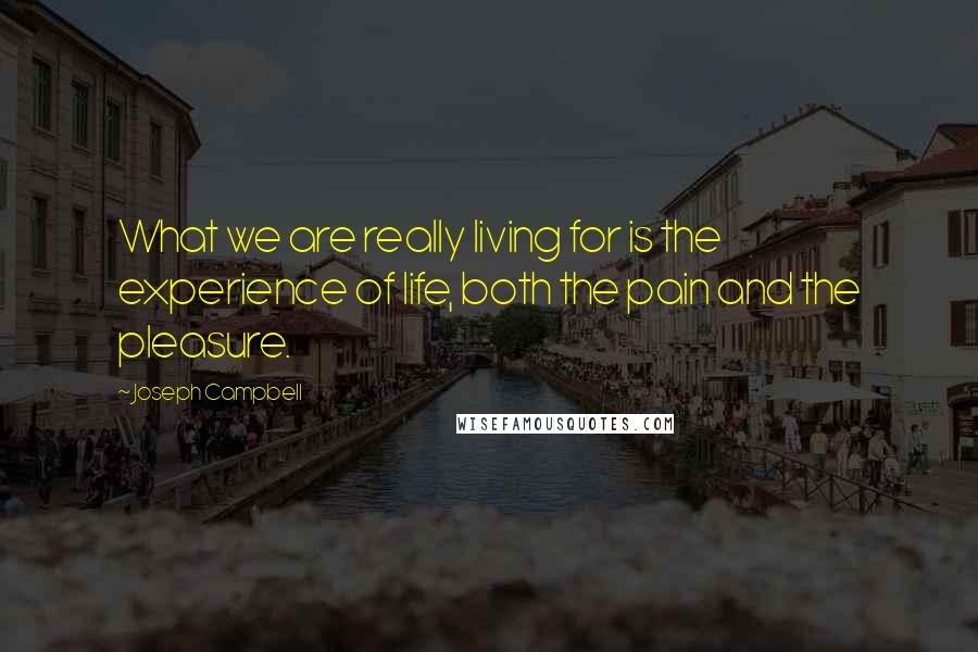 Joseph Campbell Quotes: What we are really living for is the experience of life, both the pain and the pleasure.