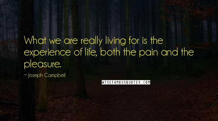 Joseph Campbell Quotes: What we are really living for is the experience of life, both the pain and the pleasure.