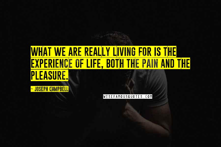 Joseph Campbell Quotes: What we are really living for is the experience of life, both the pain and the pleasure.