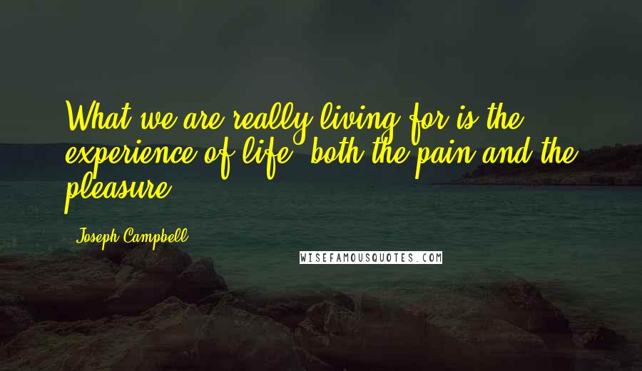 Joseph Campbell Quotes: What we are really living for is the experience of life, both the pain and the pleasure.