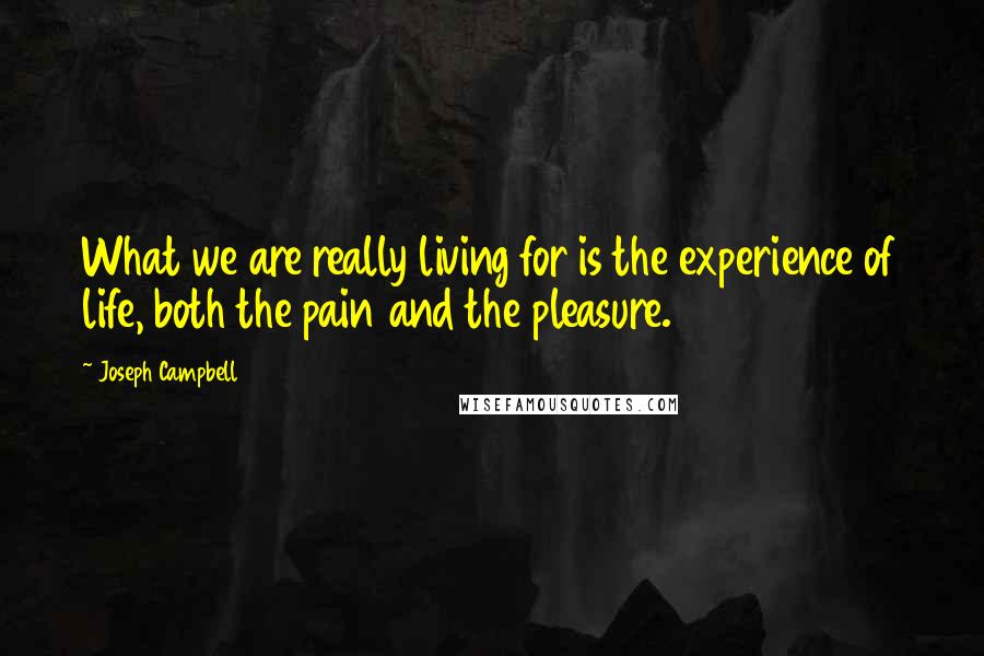 Joseph Campbell Quotes: What we are really living for is the experience of life, both the pain and the pleasure.