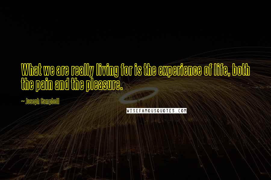 Joseph Campbell Quotes: What we are really living for is the experience of life, both the pain and the pleasure.