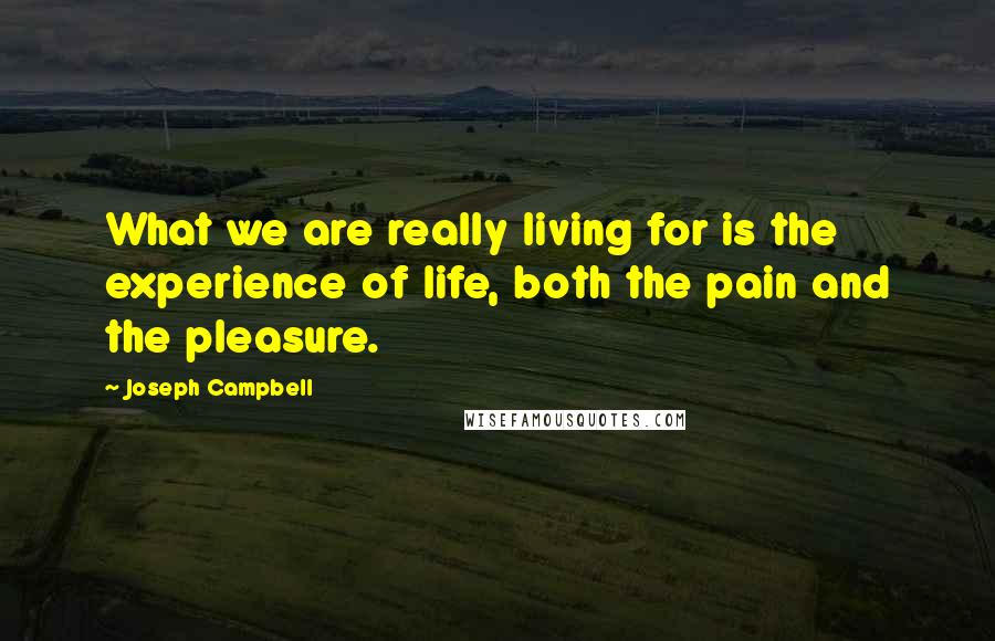 Joseph Campbell Quotes: What we are really living for is the experience of life, both the pain and the pleasure.