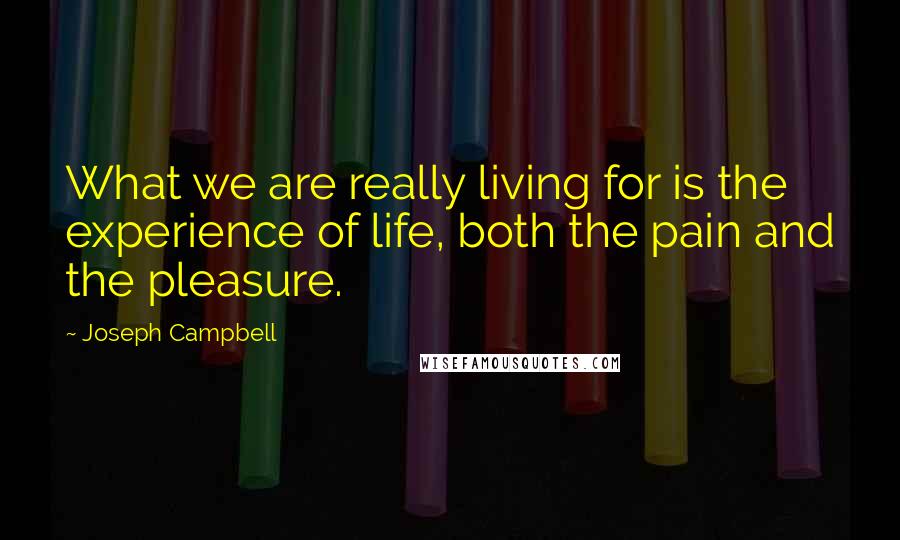 Joseph Campbell Quotes: What we are really living for is the experience of life, both the pain and the pleasure.