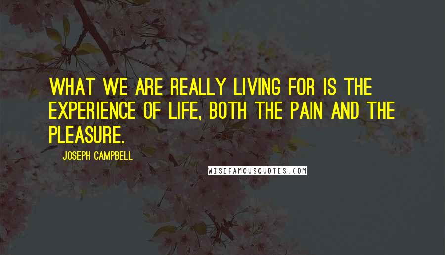Joseph Campbell Quotes: What we are really living for is the experience of life, both the pain and the pleasure.