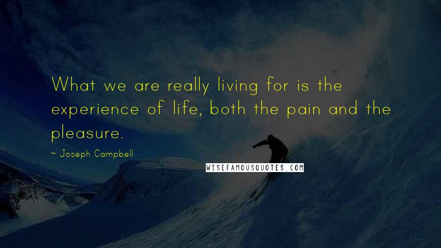 Joseph Campbell Quotes: What we are really living for is the experience of life, both the pain and the pleasure.