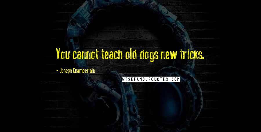 Joseph Chamberlain Quotes: You cannot teach old dogs new tricks.