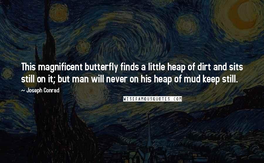 Joseph Conrad Quotes: This magnificent butterfly finds a little heap of dirt and sits still on it; but man will never on his heap of mud keep still.