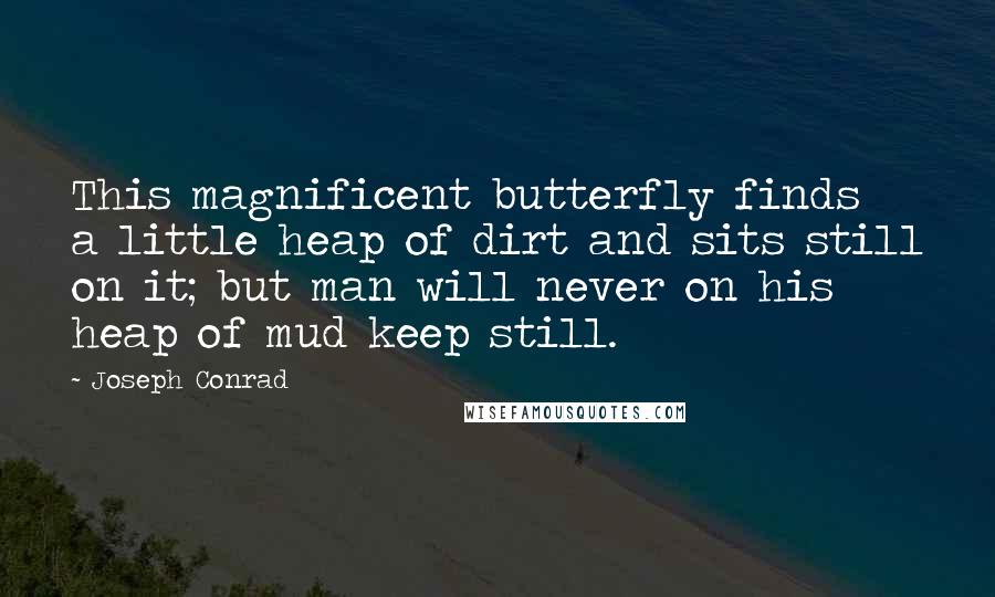 Joseph Conrad Quotes: This magnificent butterfly finds a little heap of dirt and sits still on it; but man will never on his heap of mud keep still.