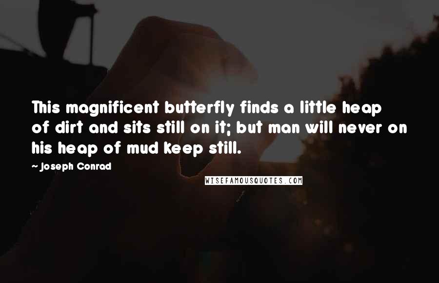 Joseph Conrad Quotes: This magnificent butterfly finds a little heap of dirt and sits still on it; but man will never on his heap of mud keep still.