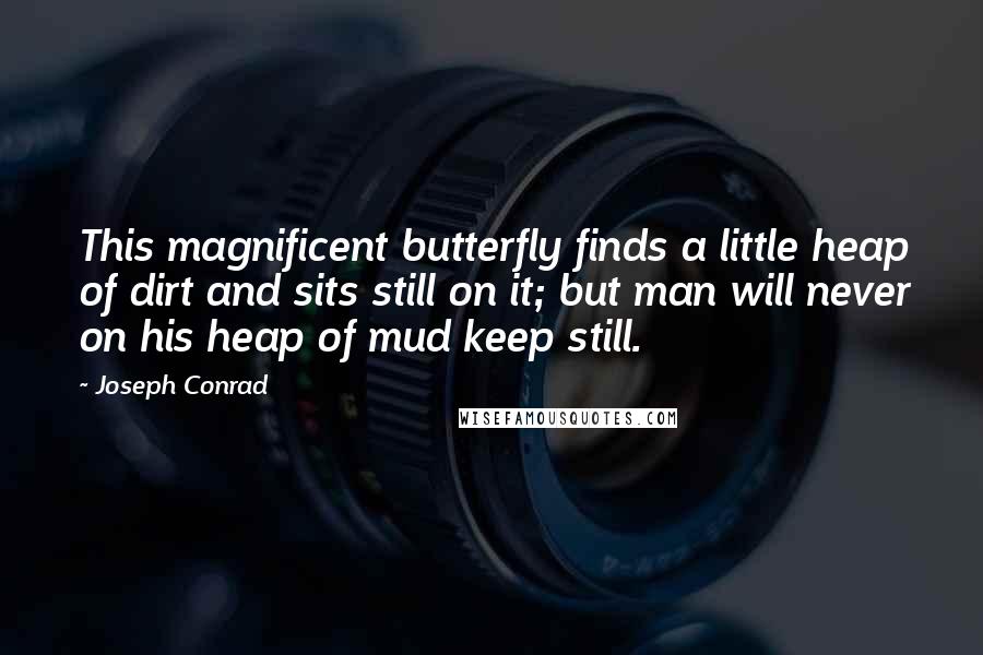 Joseph Conrad Quotes: This magnificent butterfly finds a little heap of dirt and sits still on it; but man will never on his heap of mud keep still.