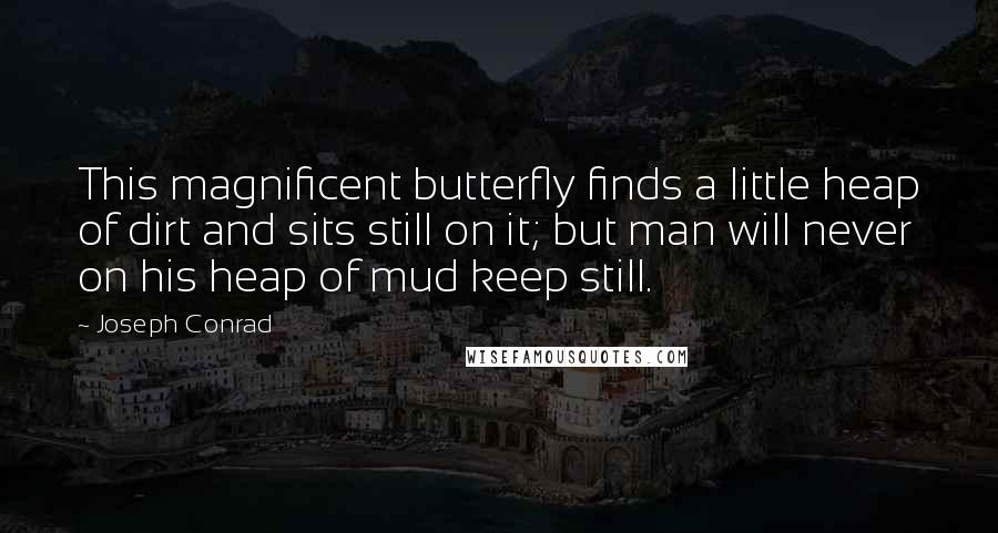 Joseph Conrad Quotes: This magnificent butterfly finds a little heap of dirt and sits still on it; but man will never on his heap of mud keep still.