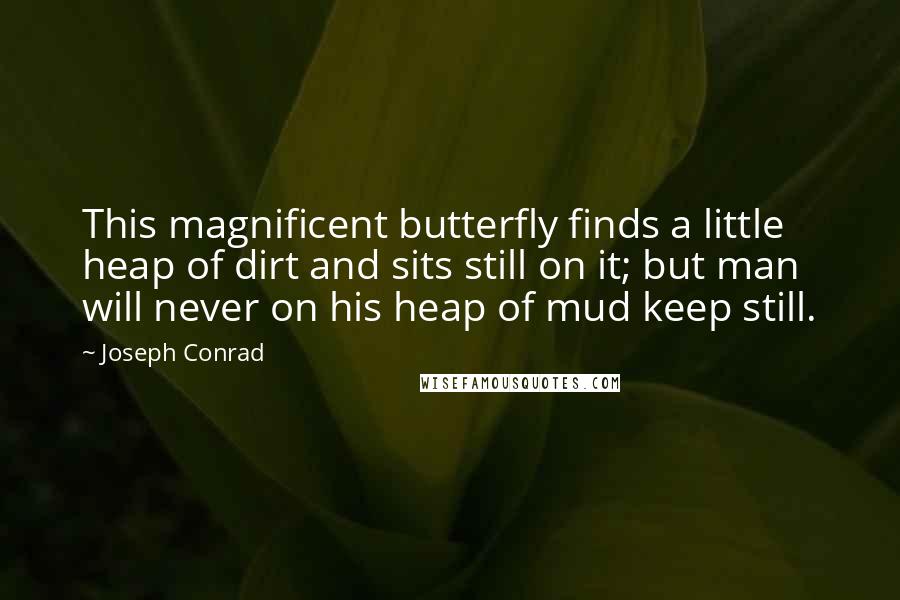 Joseph Conrad Quotes: This magnificent butterfly finds a little heap of dirt and sits still on it; but man will never on his heap of mud keep still.