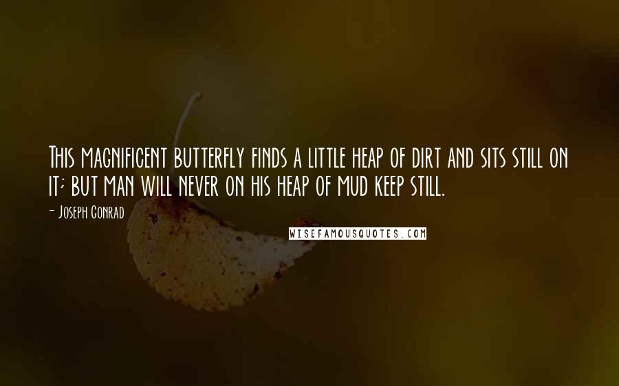 Joseph Conrad Quotes: This magnificent butterfly finds a little heap of dirt and sits still on it; but man will never on his heap of mud keep still.