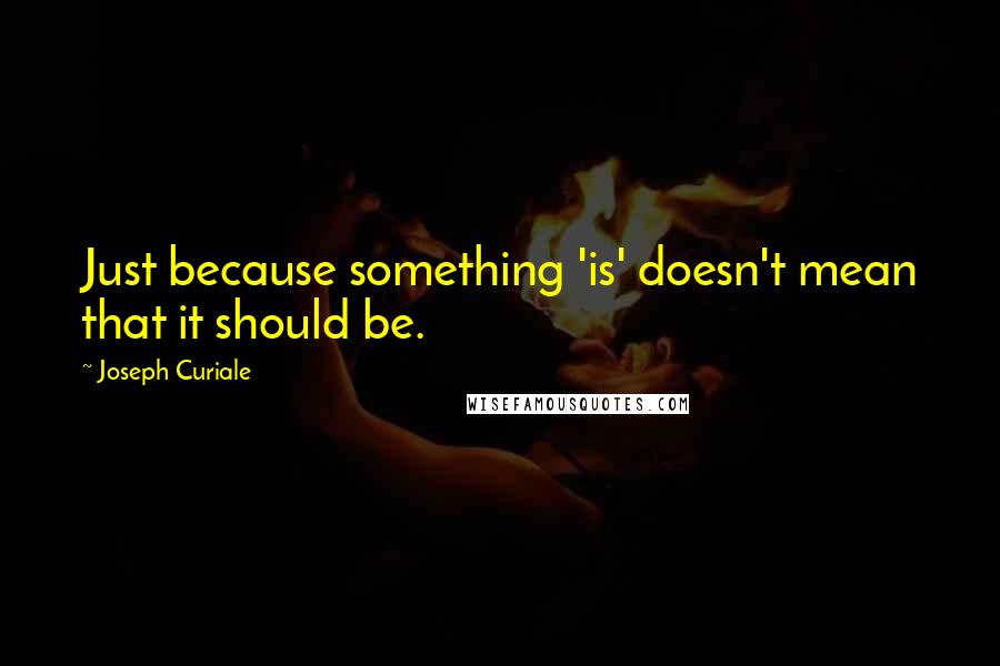 Joseph Curiale Quotes: Just because something 'is' doesn't mean that it should be.