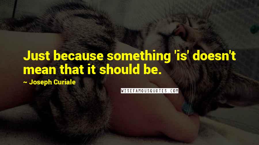 Joseph Curiale Quotes: Just because something 'is' doesn't mean that it should be.