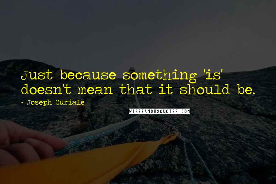 Joseph Curiale Quotes: Just because something 'is' doesn't mean that it should be.