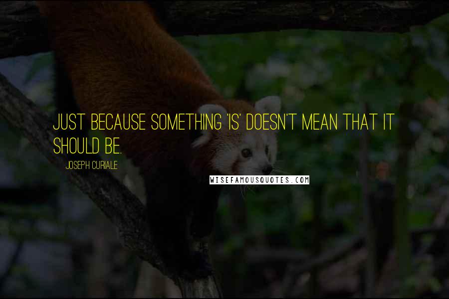 Joseph Curiale Quotes: Just because something 'is' doesn't mean that it should be.