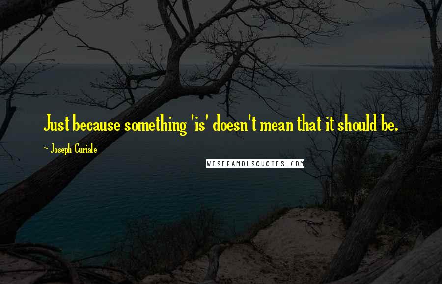 Joseph Curiale Quotes: Just because something 'is' doesn't mean that it should be.