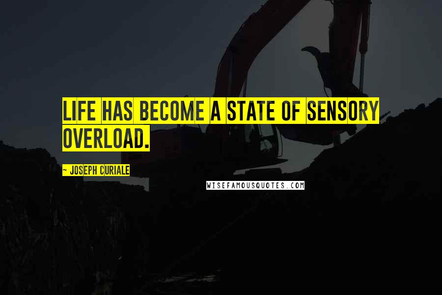 Joseph Curiale Quotes: Life has become a state of sensory overload.