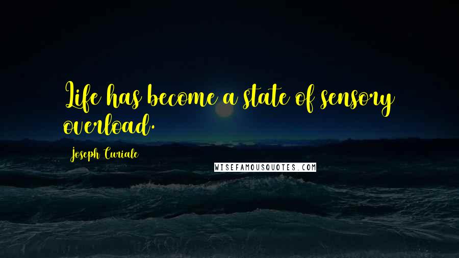 Joseph Curiale Quotes: Life has become a state of sensory overload.