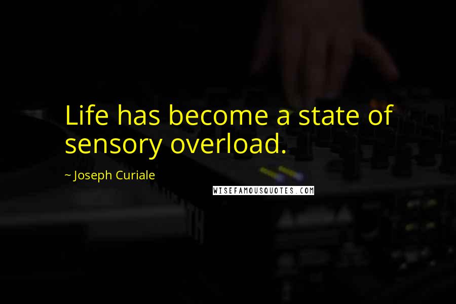 Joseph Curiale Quotes: Life has become a state of sensory overload.